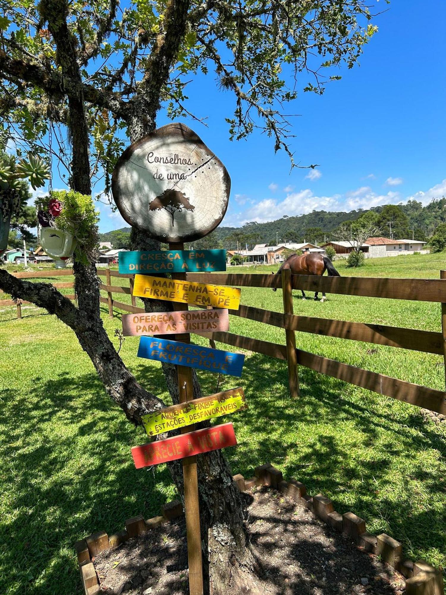 Toca Da Coruja Hospedagem - Urubici - Sc Exteriör bild